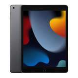 iPad 9th Gen, 10.2"
